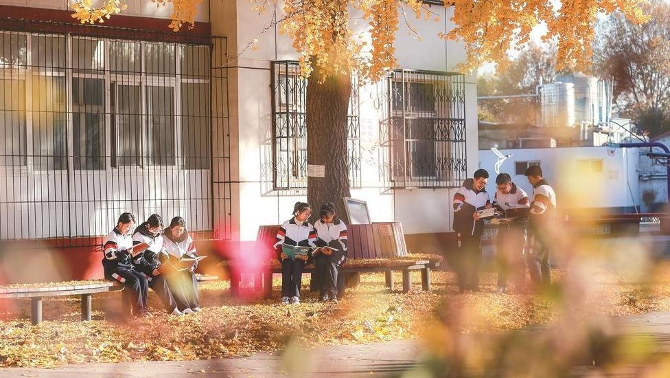 百年銀杏秋色美 自然課堂育新苗